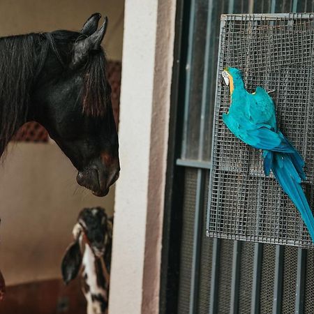 The Kerala Village, Shahapur Shenwa エクステリア 写真